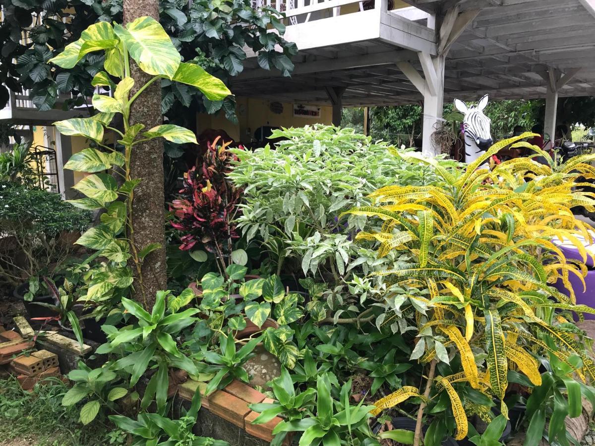 Tree In Town ทรีอินทาวน์ Villa Phatthalung Exterior photo