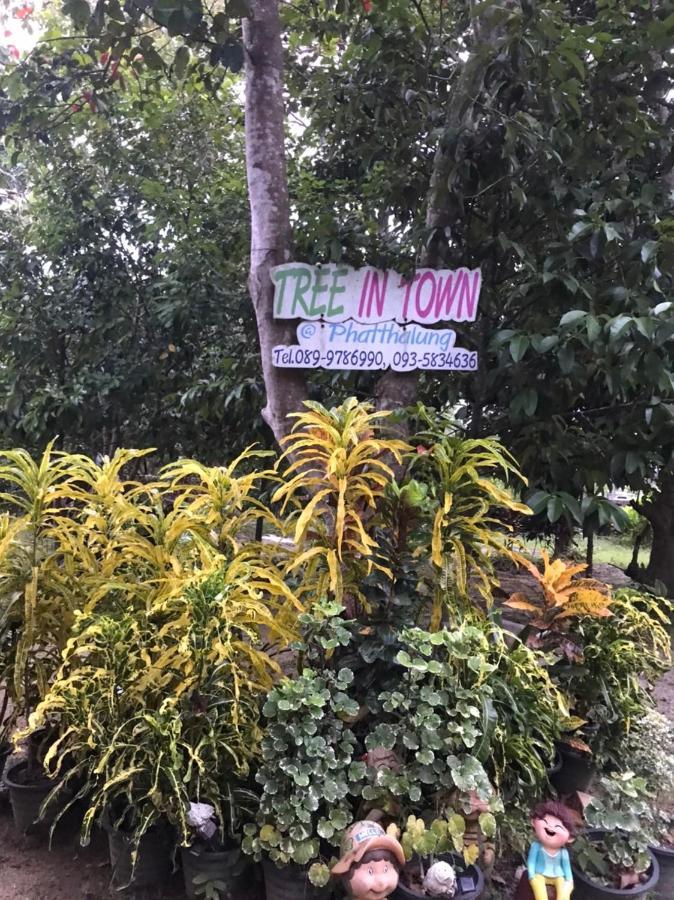Tree In Town ทรีอินทาวน์ Villa Phatthalung Exterior photo